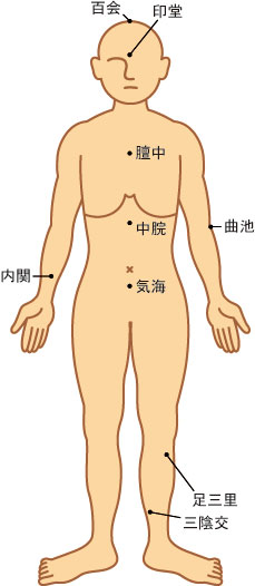 人体の主要なツボ一覧